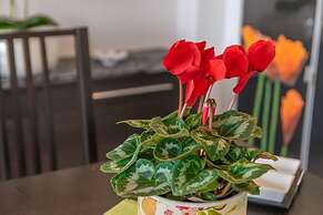 Casa Pilar in Mallorca