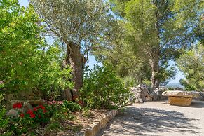 El Cipr s in Mallorca