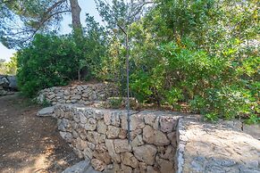 El Cipr s in Mallorca