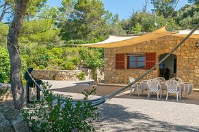 El Cipr s in Mallorca