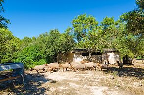 S Aresta Den Rumbet in Algaida