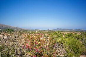 Sa Corbaia Nova in Art