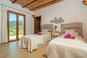 S Albarcoquer in Felanitx