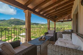 S Albarcoquer in Felanitx