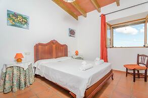 Torre Marina Alga Marina