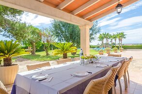 Torre Marina Alga Marina