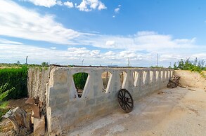 Torre Marina Alga Marina