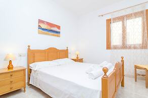 Torre Marina Alga Marina