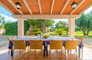 Torre Marina Alga Marina