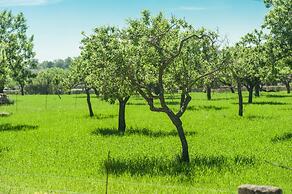 Villa Bona Vista in Mallorca
