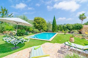 Ses Velletes 7 in Art