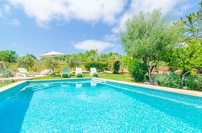 Ses Velletes 7 in Art