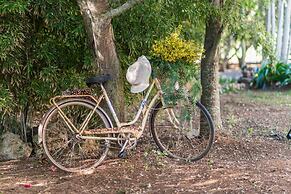 Vista Alegre in Manacor