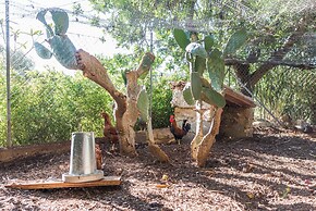 Vista Alegre in Manacor