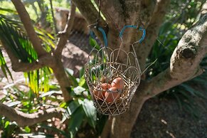 Vista Alegre in Manacor