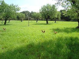 Sa Figuera Blanca in Buger