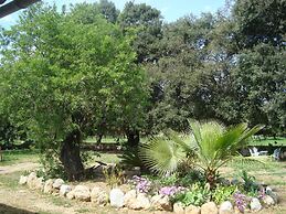 Sa Figuera Blanca in Buger