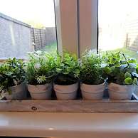 Stanefield House Motherwell