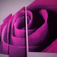 Stanefield House Motherwell