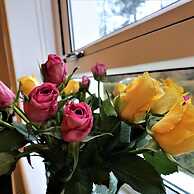 Carrick View - Cumbernauld