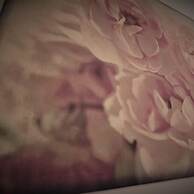 Culzean House - Carfin