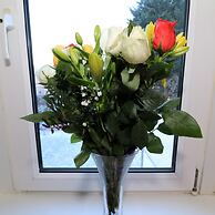 Anderson View - Motherwell