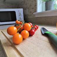 Wilkie House Holytown