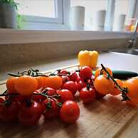 Wilkie House Holytown