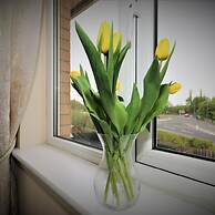 Wilkie House Holytown