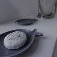 Douglas View Blantyre