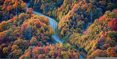 Fantastic Condo Pool Fireplace