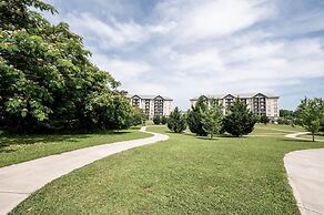 Luxurious Renovated Pool Basketball Playground