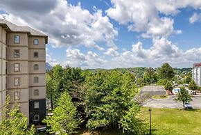 Luxurious Renovated Pool Basketball Playground