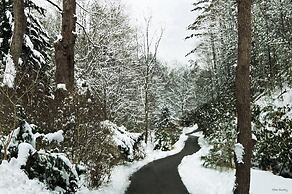 Quiet 5 Star Honeymooner Gorgeous View Pool FP