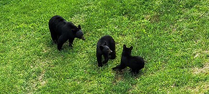 On Top Of The World-heavenly Views-sunsets-pool