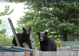 On Top Of The World-heavenly Views-sunsets-pool