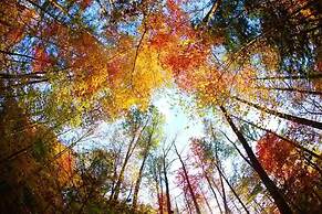 On Top Of The World-heavenly Views-sunsets-pool