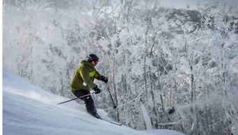 Newly Renovated Modern Deco Pool Fireplace