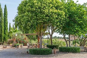 Banc Doli in Manacor