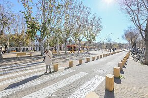 Alameda De Hercules in Sevilla