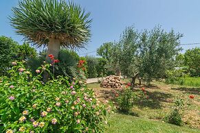 Ca n Coll in Pollen a