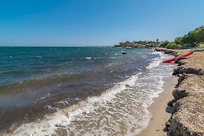 Cas Ferrerico in Mallorca