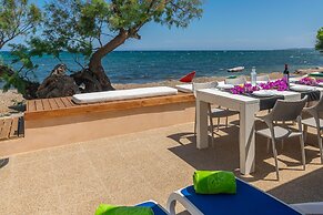 Cas Ferrerico in Mallorca