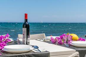 Cas Ferrerico in Mallorca