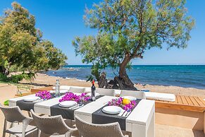 Cas Ferrerico in Mallorca