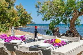 Cas Ferrerico in Mallorca