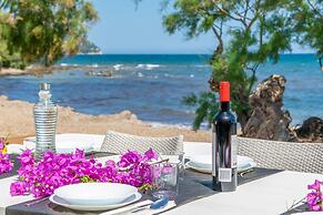 Cas Ferrerico in Mallorca