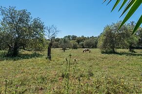 Can Rafalino in Inca