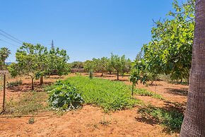 Clau De Sol in Santa Margalida