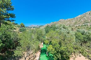 Sa Tarongera in Andratx